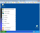 Upon clicking a new window opens with a full size preview